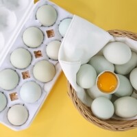 자연방사 숲속청란 60란