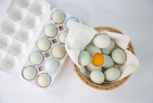 자연방사 숲속청란 30란