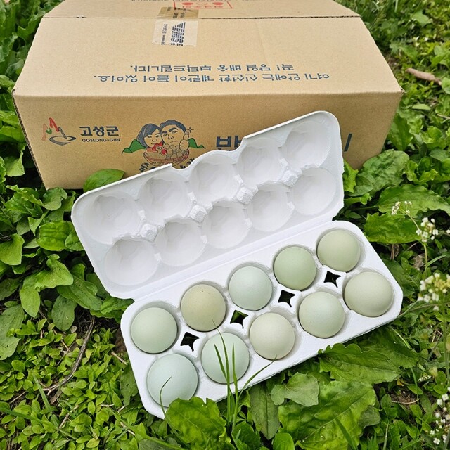 강원더몰,[3월 특가세일] 황태초란  초란 30란