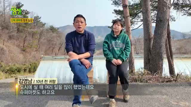 강원더몰,[봄맞이 특별할인이벤트]KBS생생정보 청계농장 황태란 30/60란