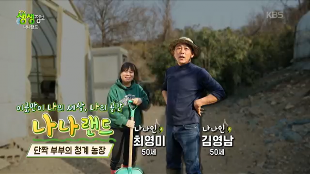 강원더몰,[봄맞이 특별할인이벤트]KBS생생정보 청계농장 황태란 30/60란