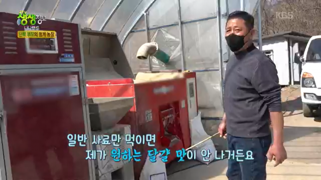 강원더몰,[봄맞이 특별할인이벤트]KBS생생정보 청계농장 황태란 30/60란