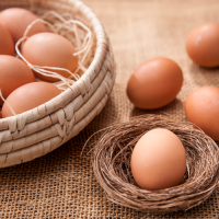 [봄맞이 특별할인이벤트]KBS생생정보 청계농장 황태란 30/60란