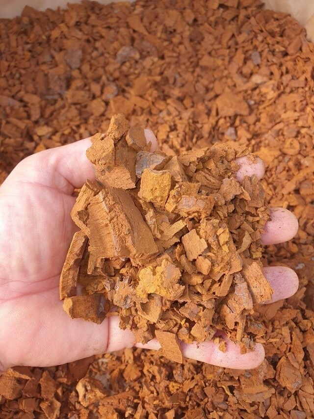 강원고성몰,자연방사 숲속황태유정란 30란